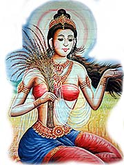 'Mae Posop | The Rice Goddess' by Asienreisender